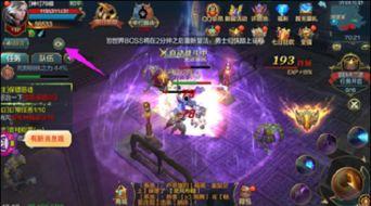 永恒佐爆料视频,独家内幕大公开  第1张